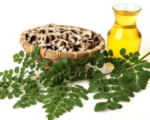 پودر مورینگا برای کاهش وزن