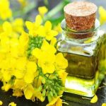 روغن های گیاهی و نقش آنها در بهبود هضم غذا